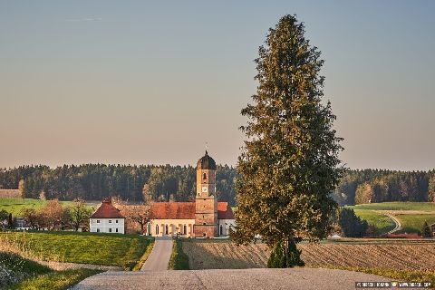 Gemeinde Wurmannsquick Landkreis Rottal-Inn Martinskirchen Kirche (Dirschl Johann) Deutschland PAN